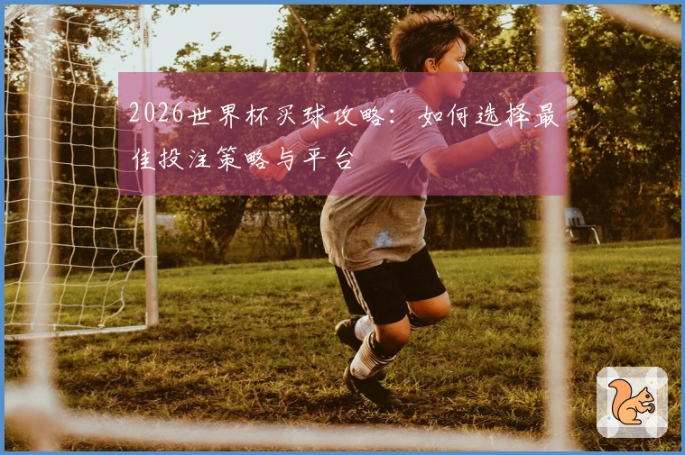 2026世界杯买球攻略：如何选择最佳投注策略与平台