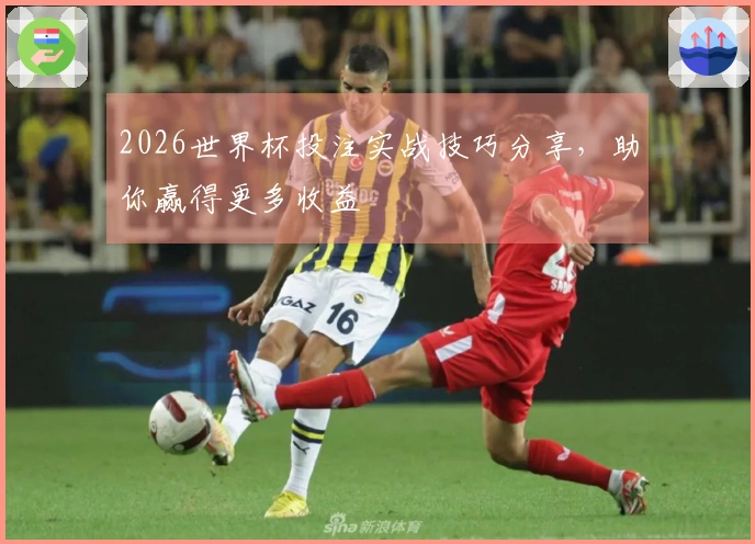 2026世界杯投注实战技巧分享，助你赢得更多收益