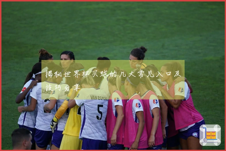 揭秘世界杯买球的几大常见入口及技巧分享