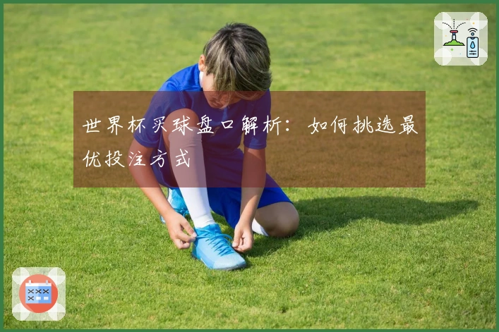 世界杯买球盘口解析：如何挑选最优投注方式