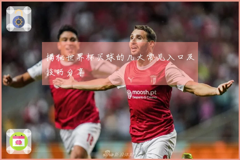 揭秘世界杯买球的几大常见入口及技巧分享